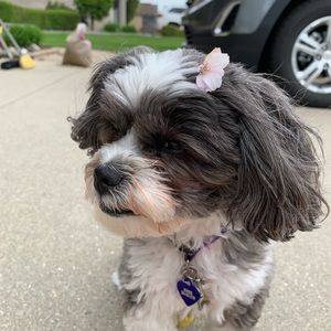 Meet your Posher, Christina